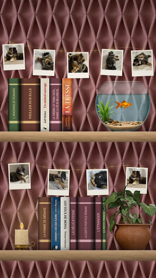 Étagère Shelfroom sur Android avec dos de livres, cadres photo, bocal à poisson, bougie et plante.